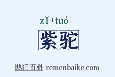 紫驼是什么意思的图片